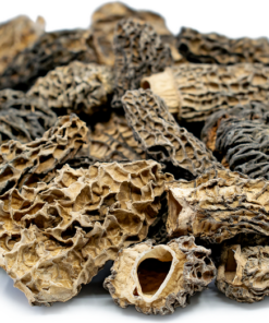 MOREL DRIED MUSHROOM UK