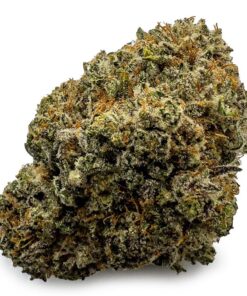 Astro Cookies Weed Strain UK