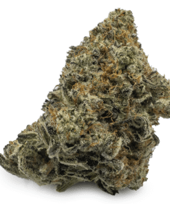 Biscotti Marijuana Strain UK