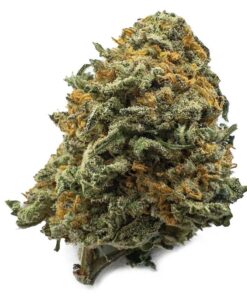 Black Cherry Gelato Weed UK