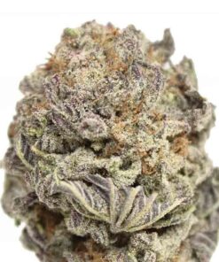 Black Gas Mask x Lavender Strain