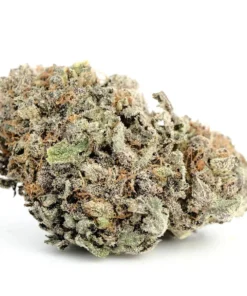 Blackwater Cannabis Strain UK