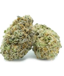 Blue Coma Strain Cannabis UK