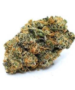 Blue J Marijuana Strain UK