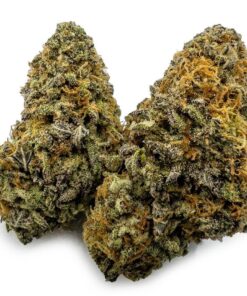 Blueberry Cheesecake Weed UK