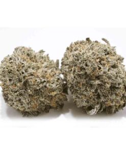 Blueberry Skunk Weed Strain