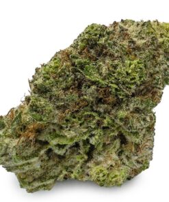Buy Tropicana Cookies Strain