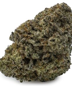 Dolato Marijuana Strain