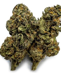 Double Dream Cannabis Strain