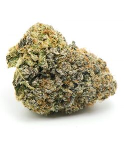 Forbidden Runtz Cannabis Strain