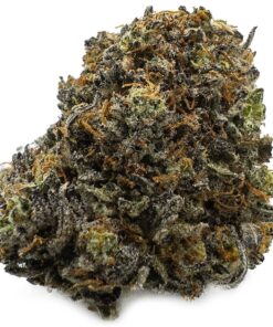 Funky Charms Cannabis Strain