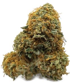 Gelato Runtz Weed Strain UK