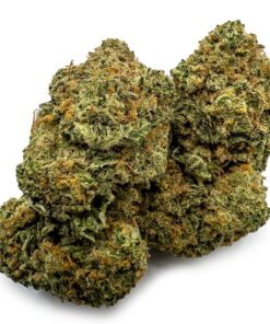 Girl Scout Cookies Weed UK