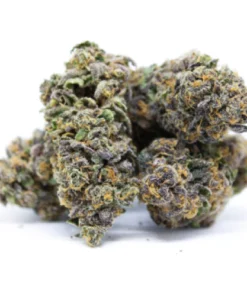 God’s Gift Marijuana Strain