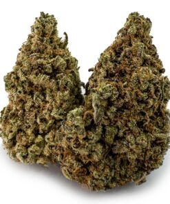 Gummy Bears Weed Strain UK