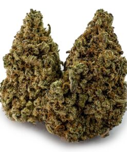 Gummy Bears Weed Strain UK