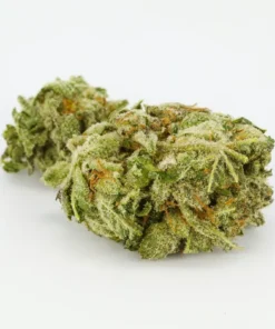 Hindu Kush Weed Strain UK