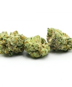 Bruce Banner Weed Strain