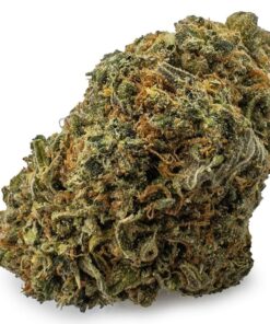 Lemon Sour Diesel Sativa