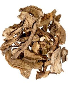 SHIITAKE DRIED MUSHROOM UK