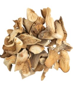 OYSTER DRIED MUSHROOM UK