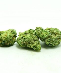 Maui Super dawg Weed Strain