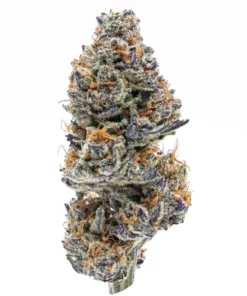 Northern Lights Weed Strain UK