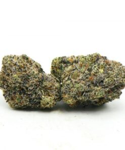 Platinum Oreo Weed Strain