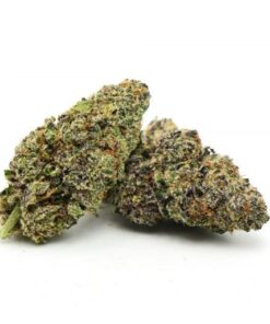 Purple Alien Kush Marijuana Strain UK