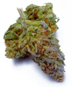 Purple Punch Weed Strain