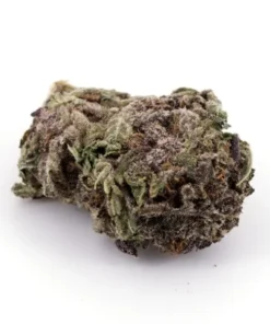 Purple Urkle Marijuana Strain