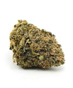 Purple White Lightning Weed