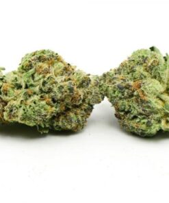 Rockstar Punch Hybrid Marijuana