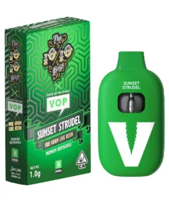 TT x VOP SUNSET STRUDEL HYBRID