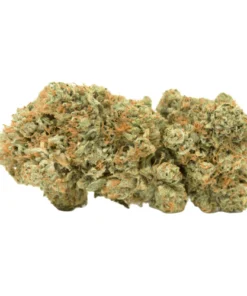 White LSD Marijuana Strain