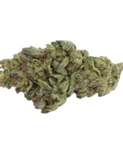 White Rhino Marijuana Strain